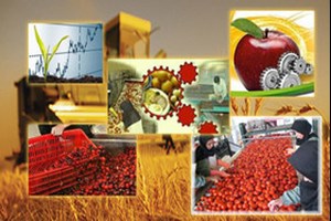 سرمایهگذاری بیش از ۱۸ هزار میلیارد ریالی در صنایع کشاورزی خوزستان