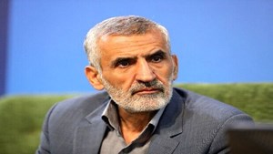 میراحمدی: ایران و عراق به اتباع غیرمجاز مجوز زیارت اربعین را نمیدهند