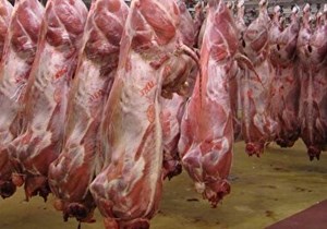 معدوم سازی بیش از ۶۰۰ تن فرآوردههای خام دامی ناسالم در خوزستان