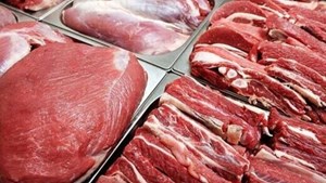 ۸۵ درصد گوشت قرمز در داخل تولید میشود/نیازی به واردات گوشت قرمز نداریم